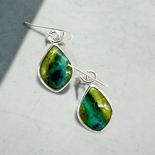 Fossil Wood Opal Earrings