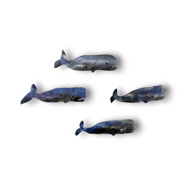 Small Whale