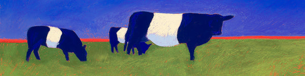 Red Line Beltie