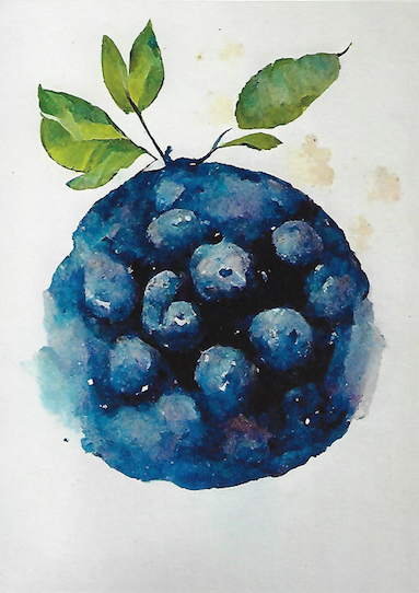 Blueberry Card - Greeting & Note Cards Edgecomb Potters